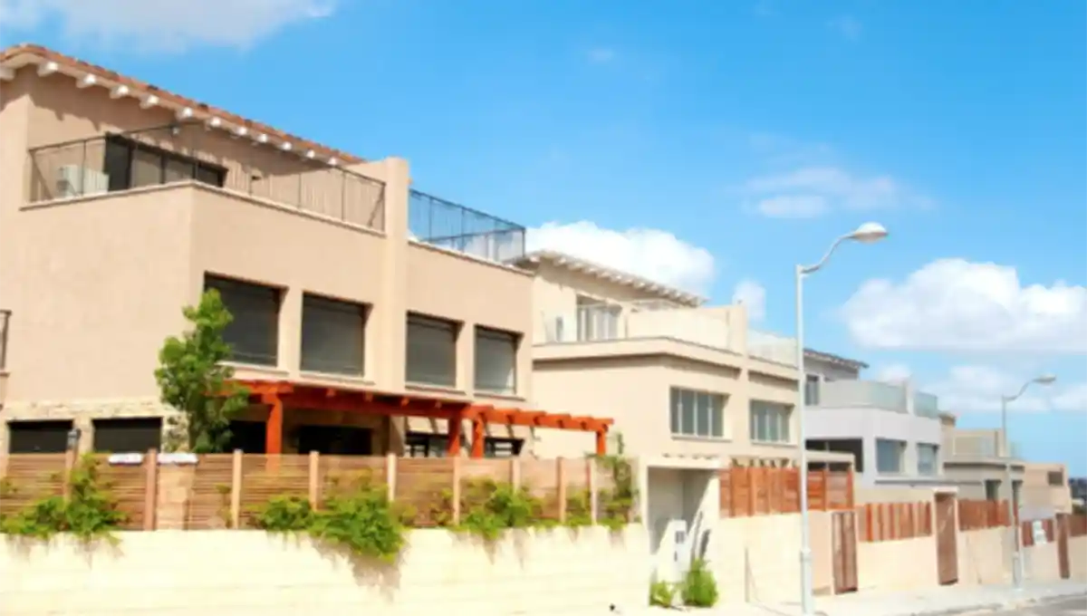  פרפקט 10 אורנית